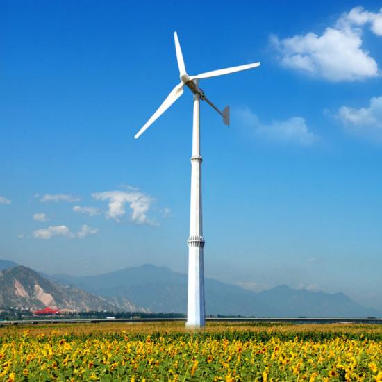 China FLTXNY 5kw 10kw 15kw 20kw horizontal wind turbine generator factory  and suppliers