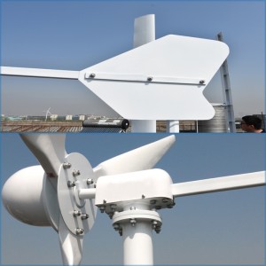 ម៉ាស៊ីនភ្លើង FLTXNY 1kw 2kw 3kw Horizontal Wind Turbine Generator សម្រាប់ប្រើប្រាស់នៅផ្ទះ