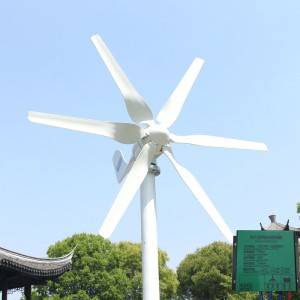 800w 12v 24v Bagong Binuo na Wind Turbine Generator na May 6 Blades Libreng Controller Para sa Bubong ng Bahay