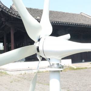 800w 12v 24v Нов развиен генератор на ветерна турбина со 6 лопати бесплатен контролер за покрив на домот