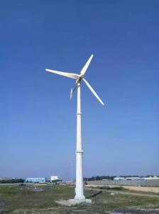 FLTXNY 5kw 10kw 15kw 20kw horizontala ventoturbina generatoro