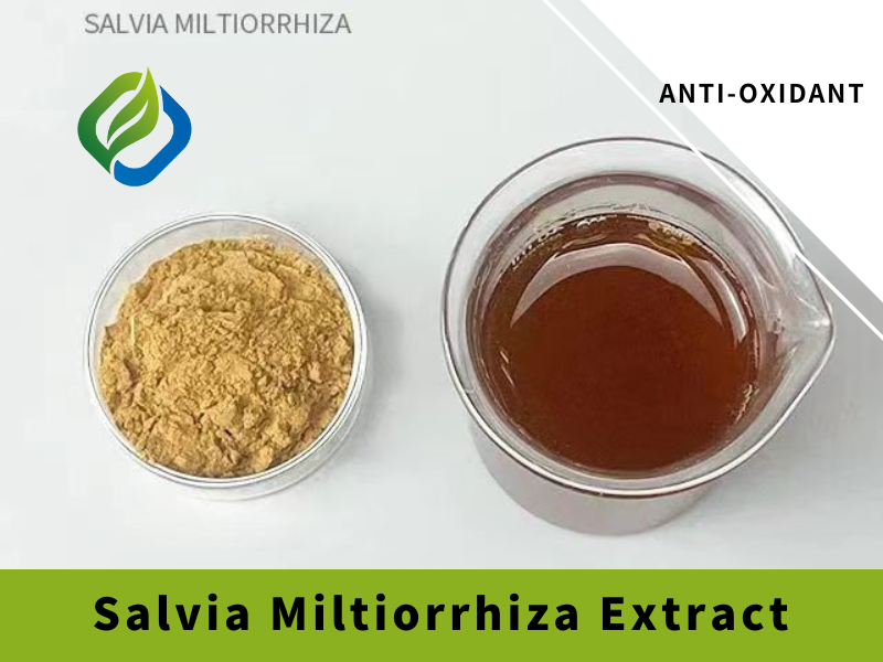 Salvia Miltiorrhiza अर्क वैशिष्ट्यीकृत प्रतिमा