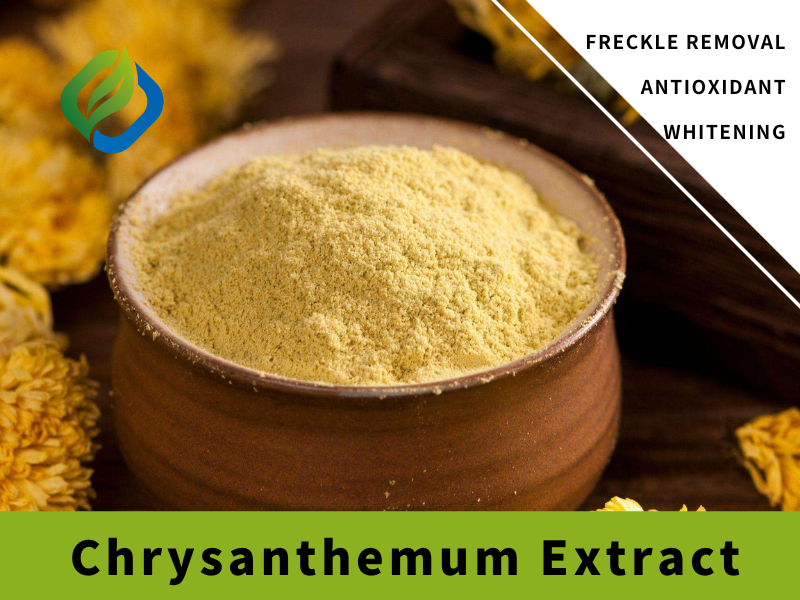 Chrysanthemum Extract Featured Image