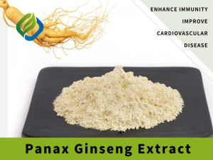 Panax Ginseng ekstrakty