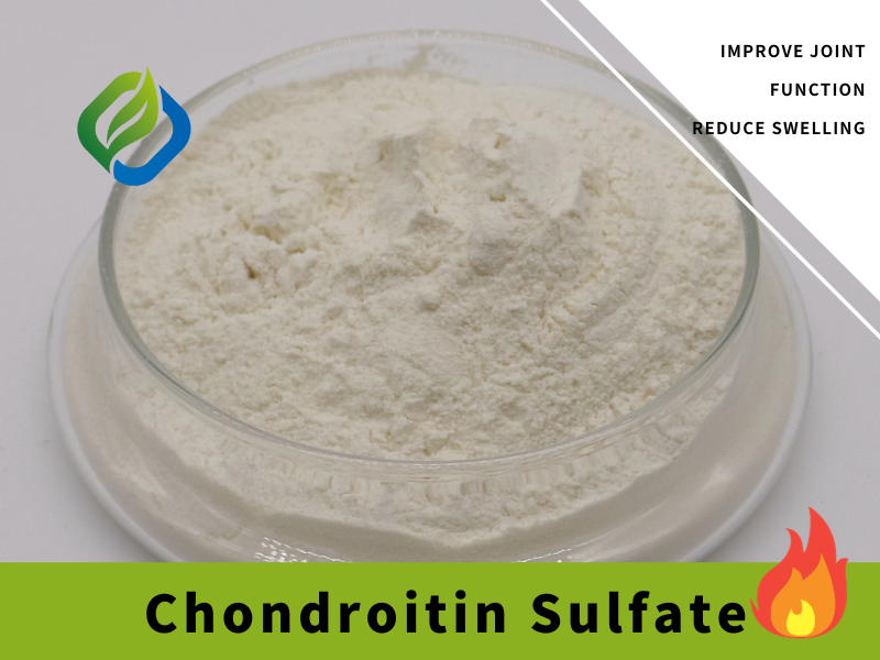 Prikazana slika hondroitin sulfata