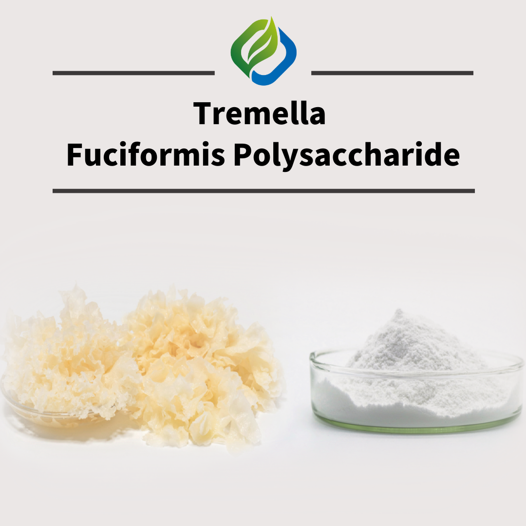 Tremella Fuciformis პოლისაქარიდი კოსმეტიკური და კვების კლასისთვისახალი ტიპის მცენარის მიღებული მაღალი ეფექტურობის დამატენიანებელი, მოპოვებული ტრემელადან