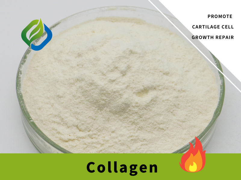 Aworan ifihan Collagen