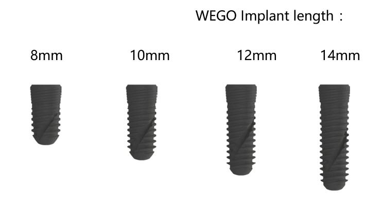 WEGO Implant System–Implant
