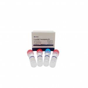 Kit Genotyping ForeSNP