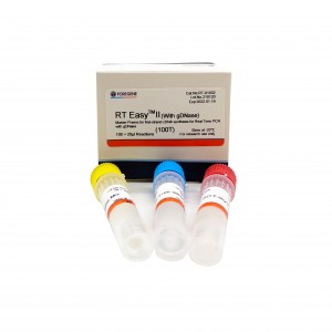 RT Easy II(gDNase සමග) Master Premix for first-strand cDNA synthesis for Real Time PCR with gDNase