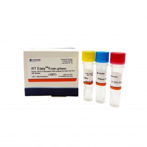 RT Easy II (ជាមួយ gDNase) Master Premix សម្រាប់ការសំយោគ cDNA ខ្សែទីមួយសម្រាប់ PCR ពេលវេលាពិតជាមួយ gDNase
