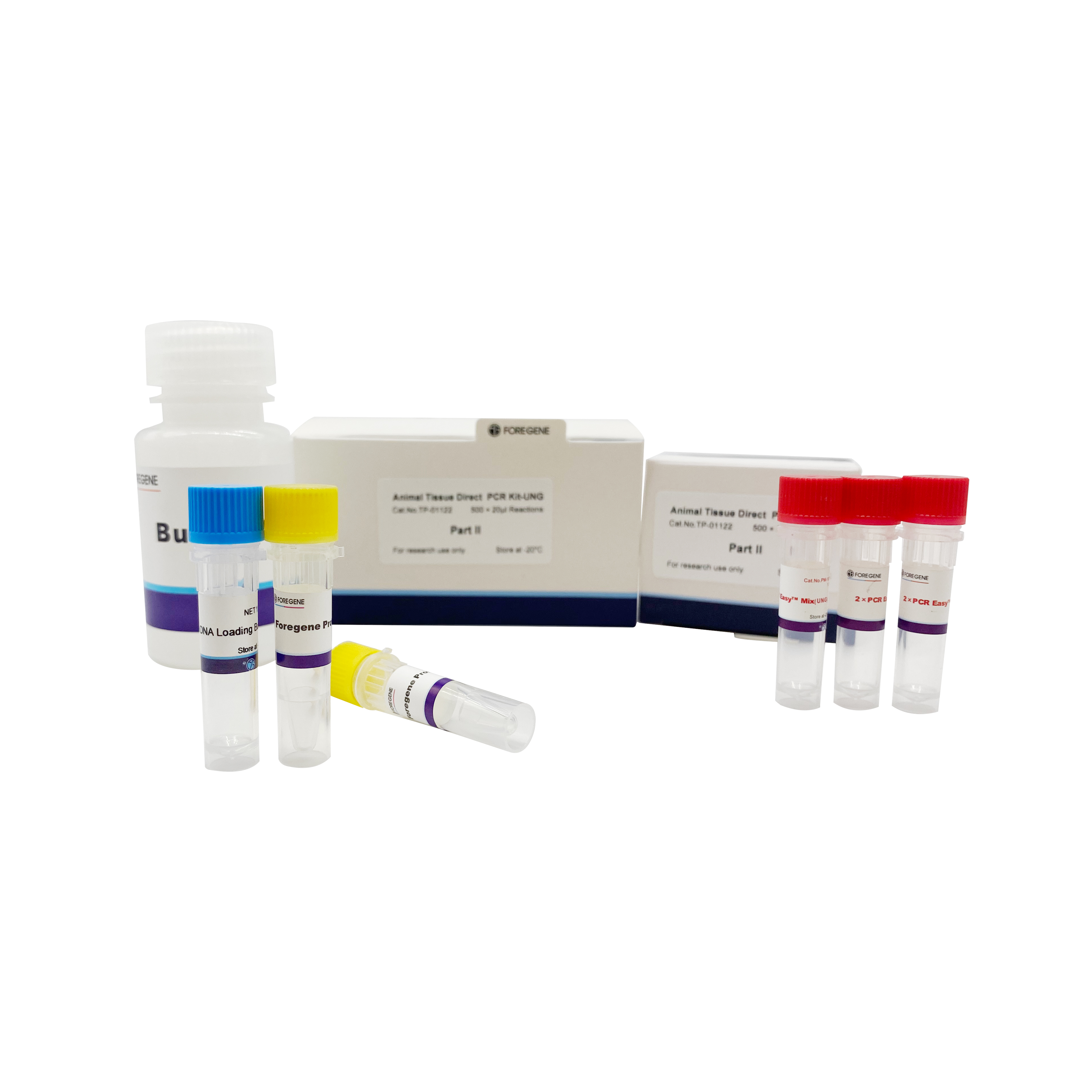 I-Animal Tissue Direct PCR kit-UNG(Ngaphandle kwe-DNA Extraction)