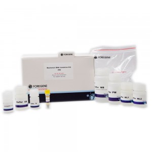 Fabriksförsäljning för virusmagnetiska pärlor Metod RNA-DNA Nukleinsyra 96 ​​Provextraktionsrening Tube Kit