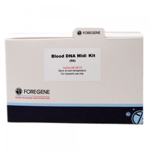 Blood DNA Midi Kit (1-5ml)