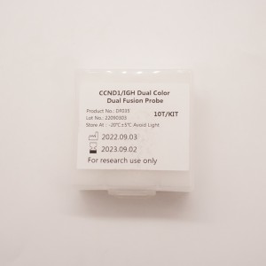 CCND1/IGH ორმაგი ფერის ორმაგი შერწყმის ზონდი