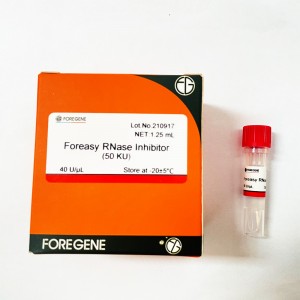 Foreasy RNase-remmer