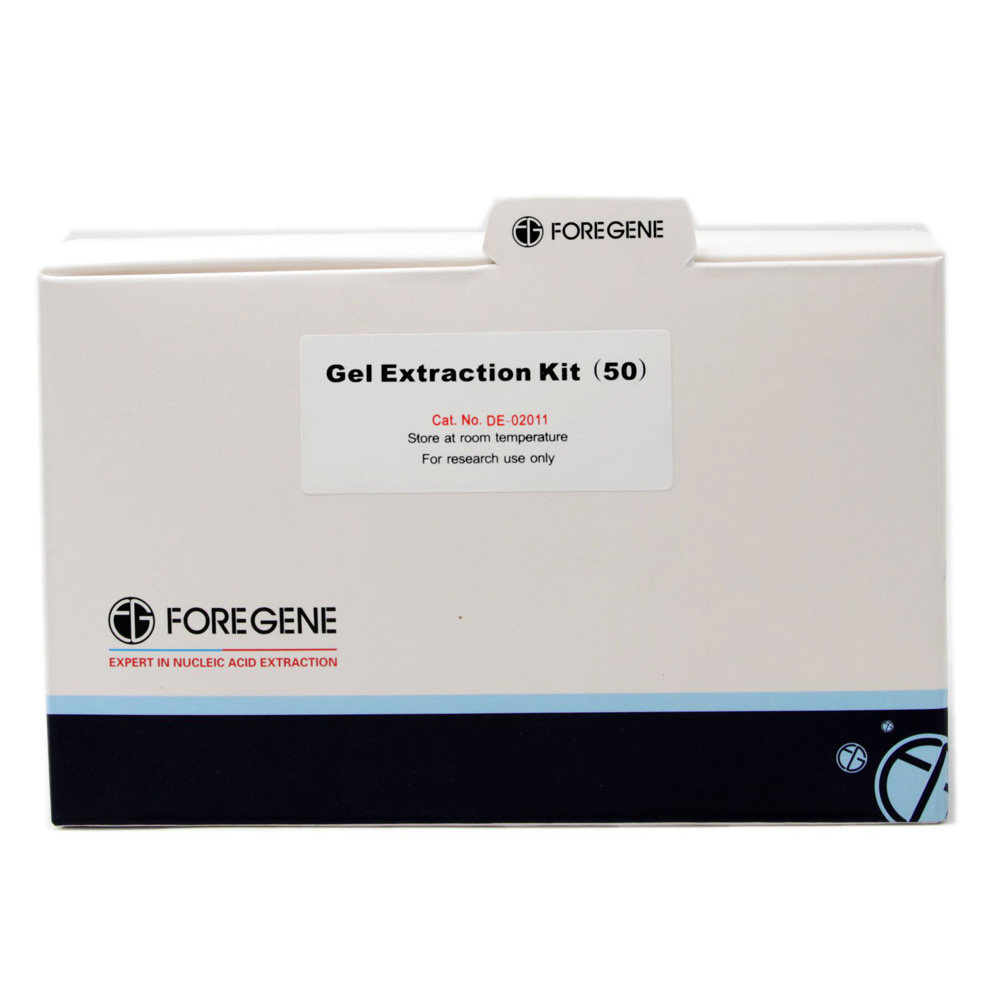 Kit Extraction gel DNA Gel Extraction Kit