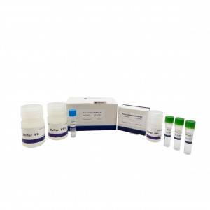 Factory Supply 2 X Fast Pfus PCR Master Mix with Pfu DNA Polymerase Dntps PCR Buffer
