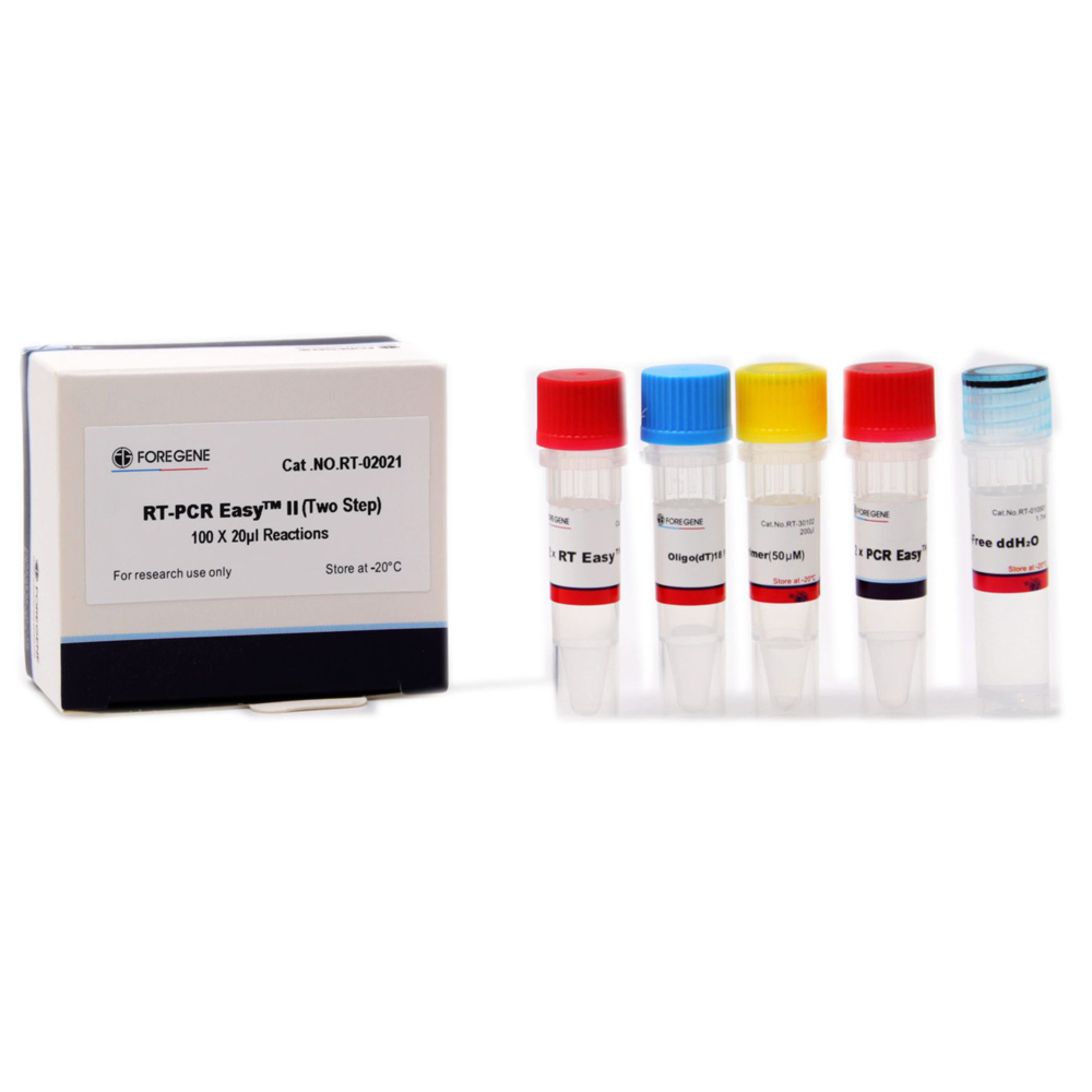RT-PCR Easyᵀᴹ II (twee stappen)