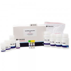 Ivhu DNA Isolation Kit Extraction Purification Kits & Reagents for Soil DNA