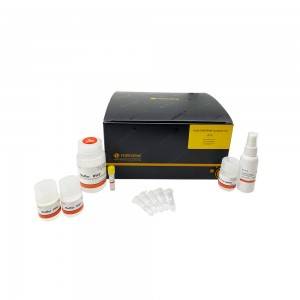 OEM Supply China CE Approved 96 Well Plate Nucleic Acid DNA Rna Isolation Kit mei Magnetic Bead Method Rapid Diagnostic