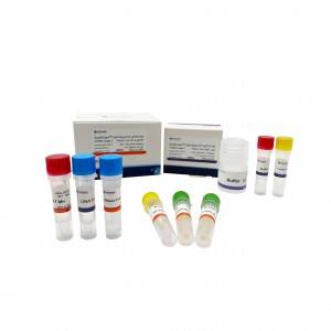 Cell Direct RT qPCR Kit—SYBR GREEN I Direct Cell Lysis Cell Ready One-step qRT-PCR Kits