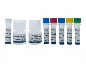 SARS-CoV-2 Variant Detection Acid Nucleic Kit II (Усули Multiplex PCR Fluorescent Probe) - барои ошкор кардани вариантҳо аз Британияи Кабир, Африқои Ҷанубӣ, Бразилия ва Ҳиндустон