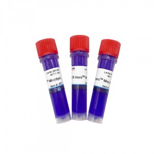 PCR Heroᵀᴹ (con colorante)