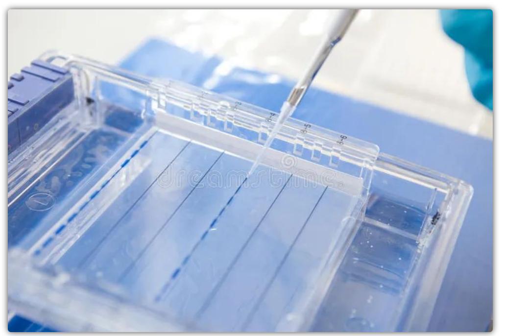 Mazano ekupora gel uye PCR chigadzirwa kupora