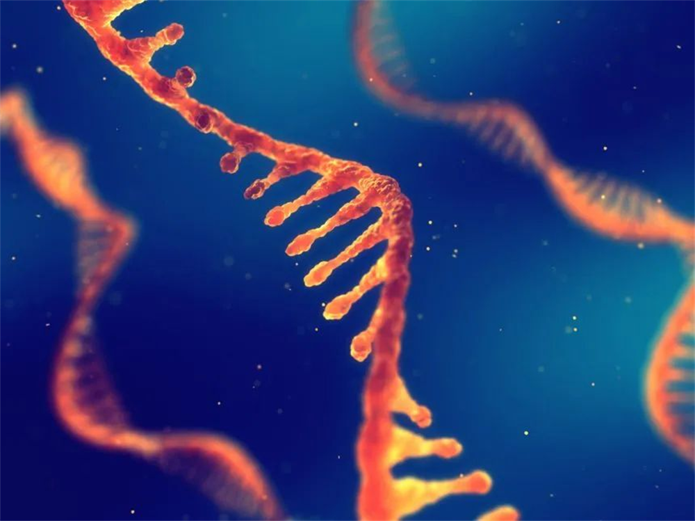РНХ-ийн олборлолт үргэлж бүтэлгүйтдэг үү?Хэд хэдэн зөвлөгөөг нууцаар хэлээрэй!
