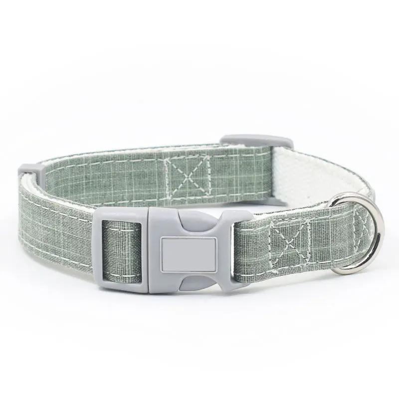 Several types of dog collars and advantages and disadvantages