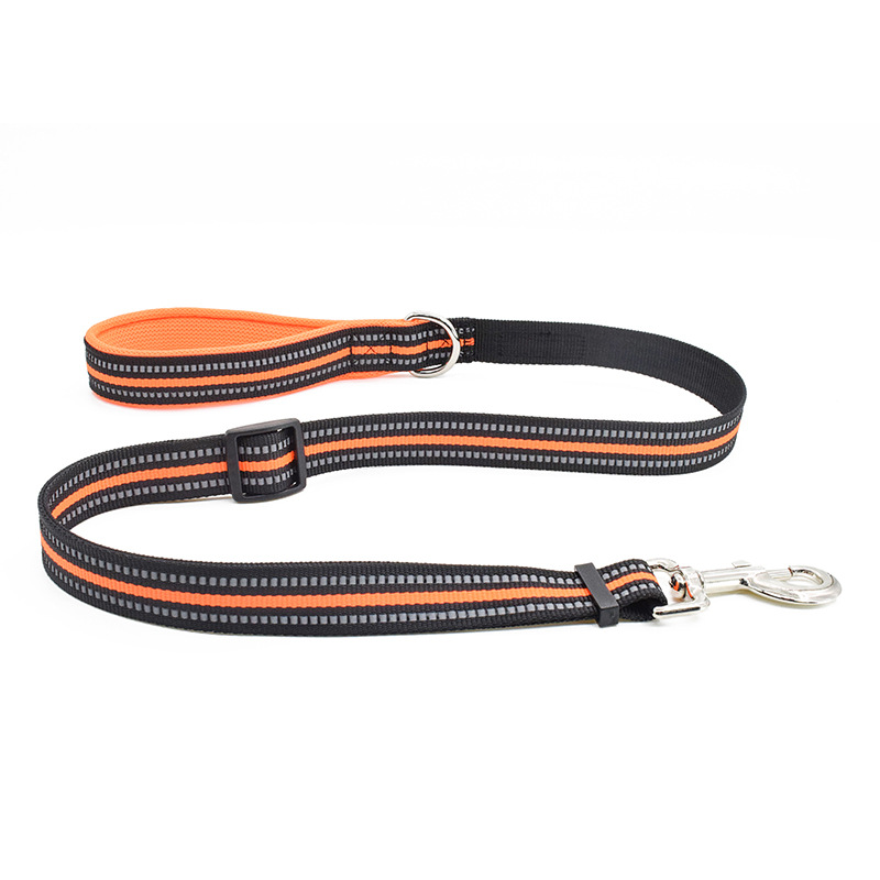 Mengapa Anda membutuhkan tali anjing, kalung anjing, tali pengaman anjing untuk berjalan-jalan dengan hewan peliharaan Anda?