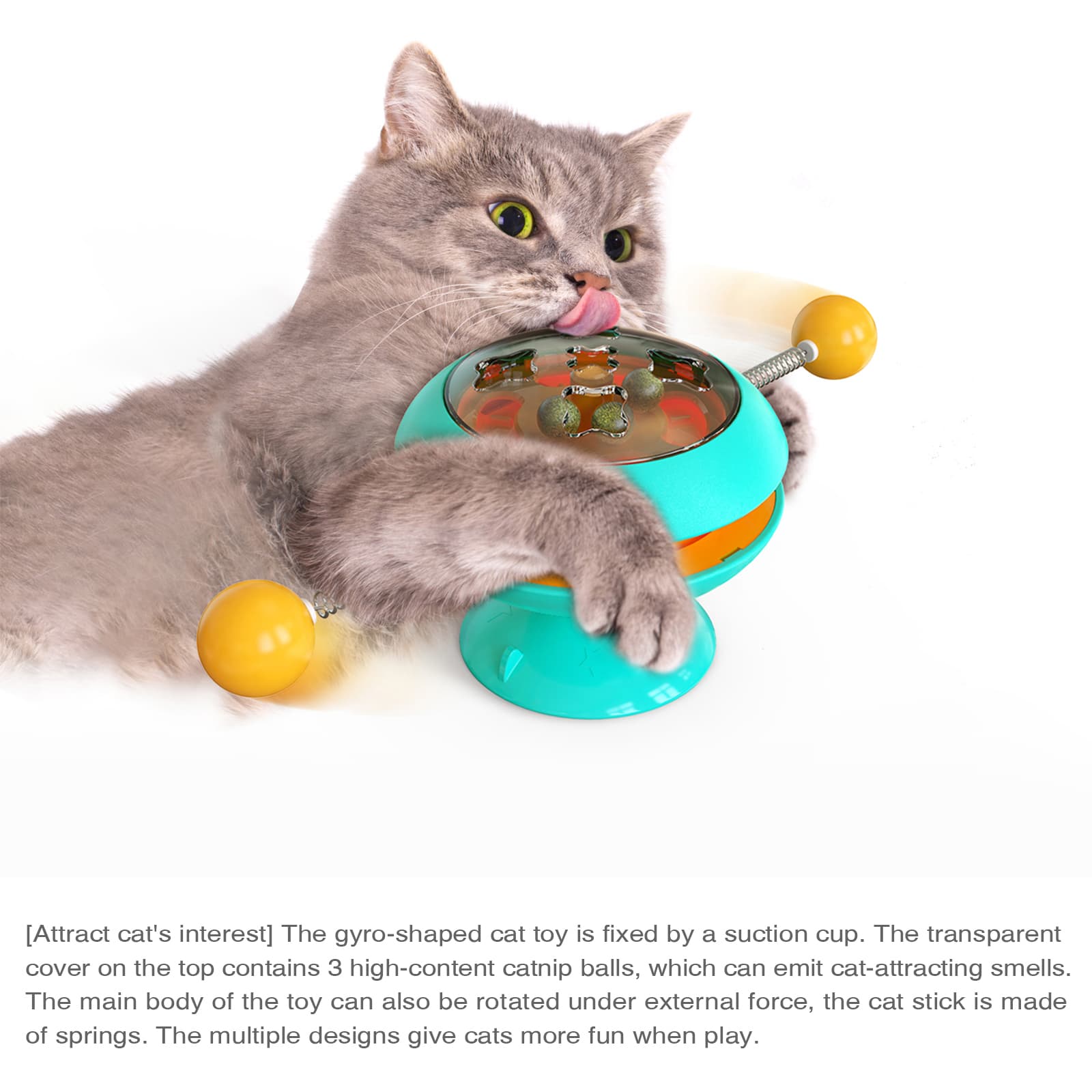 Mainan Mengejar Kucing Interaktif (2)