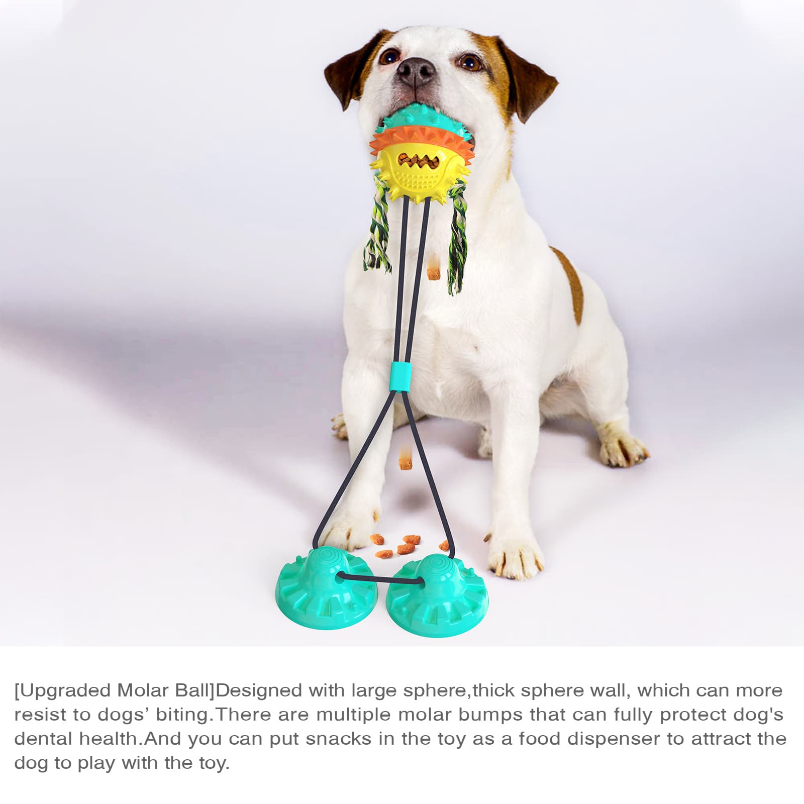 اسباب بازی های فنجانی مکنده پازل جویدن حیوانات خانگی (4)