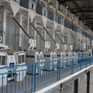 300T/D Modern Rice Milling Machinery