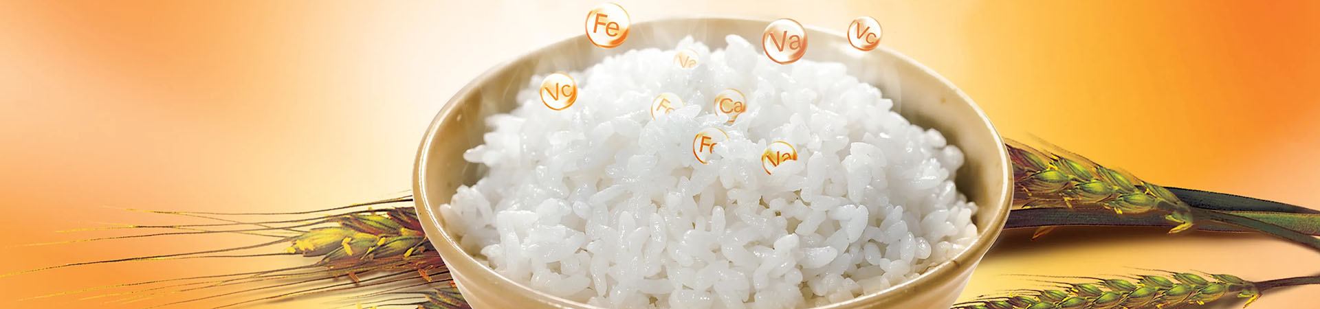 54 Units Mini Rice Destoner To Be Dispatched to Nigeria