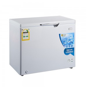 Congelatore a cassa portatile con certificazione DOE 350L con serratura