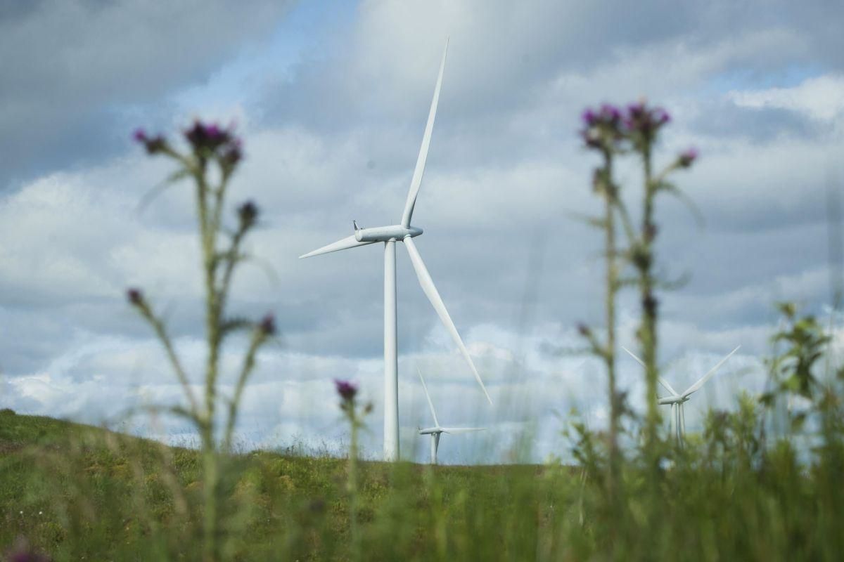 Turbines set new British wind power record