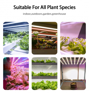 سیستم رشد هیدروپونیک گلخانه ای کوچک LED لامپ رشد گیاه
