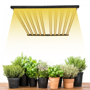Drivhusvækstlys, dæmpbart fuldspektrum LED til plantevækst indendørs Custom 1000W 720W 650W