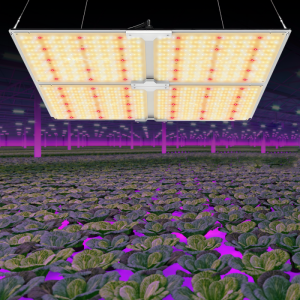 Làmpada de cultiu d'hivernacle d'horticultura Llum hidropònica per a plantes d'interior Barra de llums de cultiu LED d'espectre complet