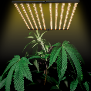 Rast celého spektra Podpora LED svetiel na rast rastlín