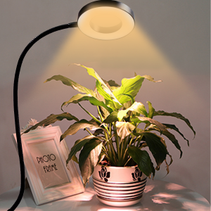 LED plantengroeilamp Angel ring volspectrum plantenlamp