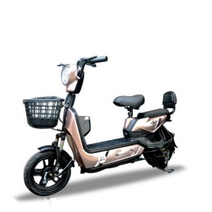 500 W 350 W Stahl E-Bike 48 V / 60 V Blei-Säure-Batterie betriebene Elektromotor Fahrrad Bicicleta Roller