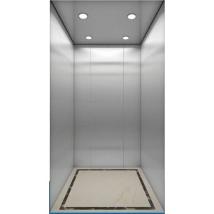 Villa üçün fərdi ev lifti
