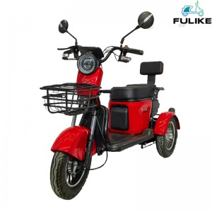 High Quality 3 Wheel Electric Trike E Loketseng Motho ea Hōlileng 3 Wheel Electric Scooter Tricycle Trike With Roof