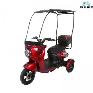 FULIKE New China Adult 3 Wheel Electric Trike ev Electric Saqaf leh