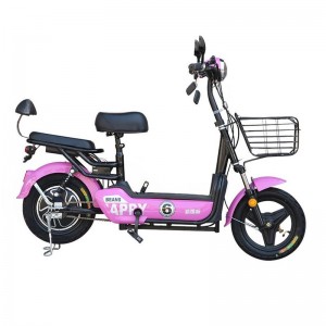 Factory Wholesale Popular Electric Bicycle 2-Seat Mini Bike 500W 48V
