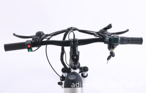 Bicicleta elétrica de lítio de 2 rodas para fábrica adulta na China