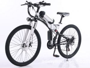 2 hjul Lithium Electric Bike for Adult China Factory